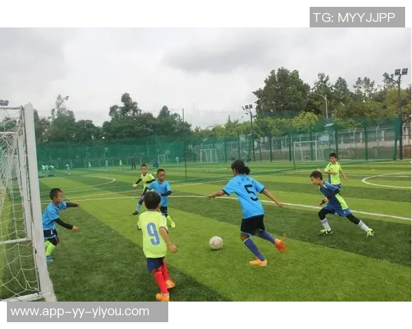 热爱足球的心声与梦想在绿茵场上交织的诗篇